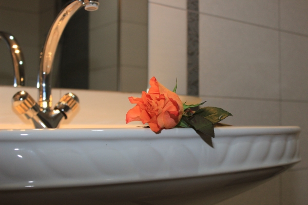 Hotel Phoenicia Express